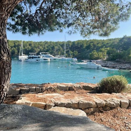 Luxury Villa Kate - In Lucice Bay With Turquoise Sea, Amazing Seaviews, And Heated Pool Milna  Eksteriør bilde